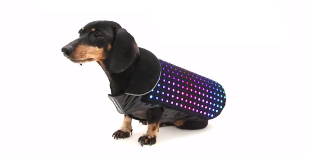 Curiosidades de KickStarter I Disco Dog Rincón de la Tecnología